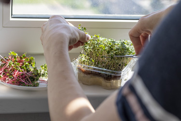 Similar image 22136100