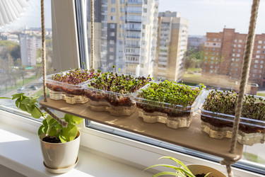 Similar image 22136101