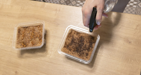 Similar image 22136107