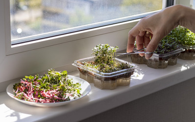 Similar image 22136583