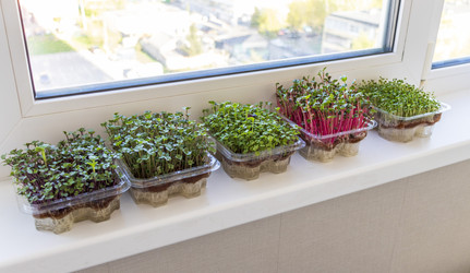 Similar image 22136585