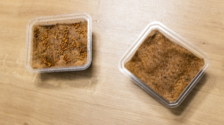 Similar image 22136587