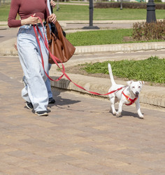 Similar image 22136589