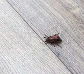 Similar image 22136604