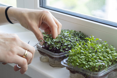 Similar image 22136605