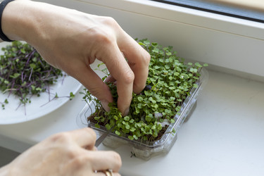 Similar image 22136607