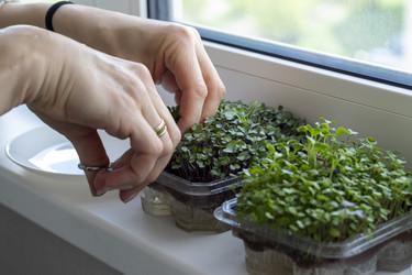 Similar image 22136608