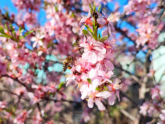 Similar image 22135146