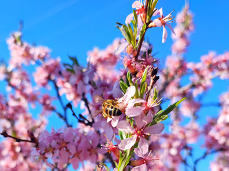 Similar image 22135147