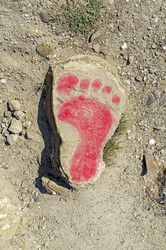 Similar image 22134918