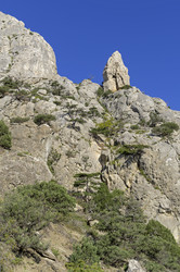 Similar image 22134920