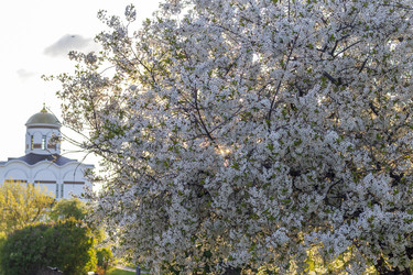 Similar image 22136160