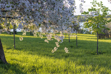 Similar image 22136161