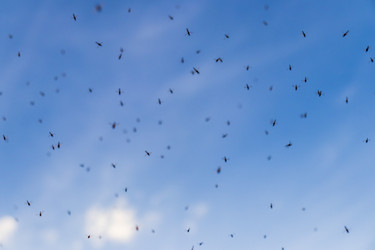 Similar image 22136164