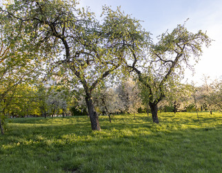 Similar image 22136166