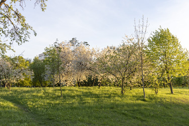 Similar image 22136167