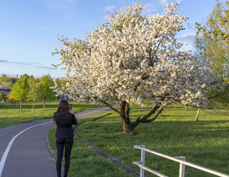 Similar image 22136170