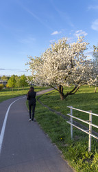 Similar image 22136171