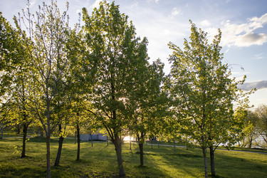 Similar image 22136172