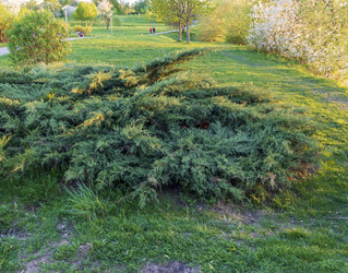 Similar image 22136182