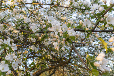 Similar image 22136183