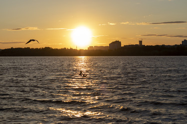 Similar image 22136184