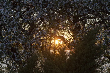 Similar image 22136189