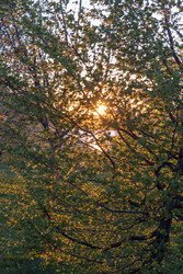 Similar image 22136191