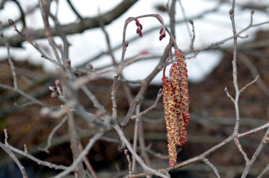 Similar image 22141158