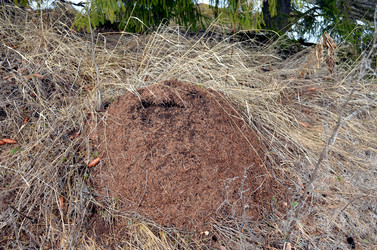 Similar image 22141159