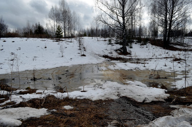 Similar image 22141160