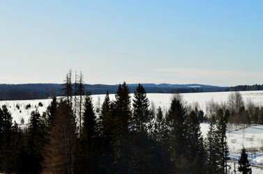 Similar image 22141168