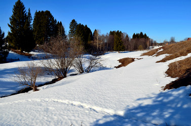 Similar image 22141170