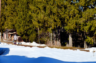 Similar image 22141176