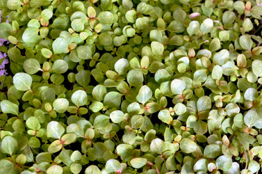 Similar image 22141179