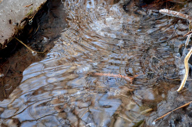 Similar image 22141184