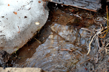 Similar image 22141185