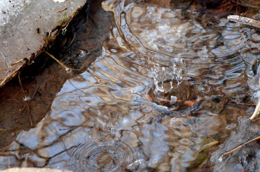 Similar image 22141186