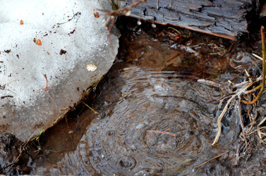 Similar image 22141187