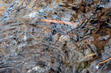 Similar image 22141188