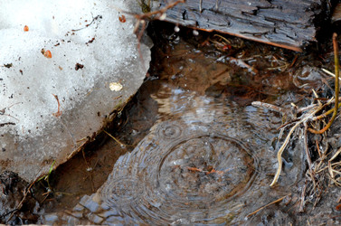 Similar image 22141189