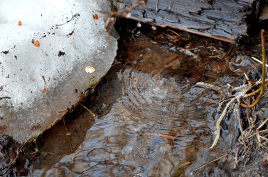 Similar image 22141191