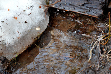 Similar image 22141192