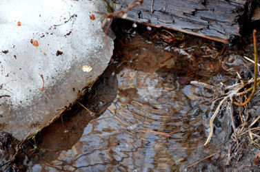 Similar image 22141194