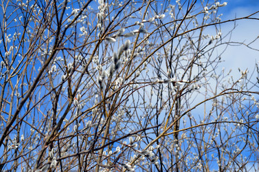 Similar image 22141196