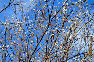 Similar image 22141197