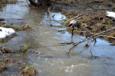 Similar image 22141199