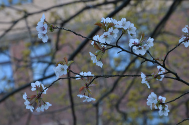 Similar image 22135369