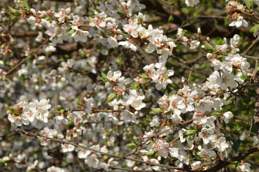 Similar image 22135370