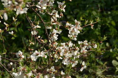 Similar image 22135371